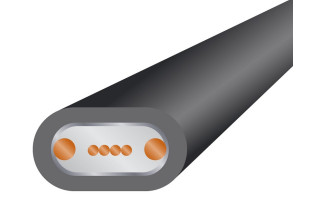 Wireworld Terra cable de... 2