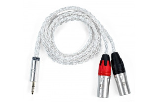 iFi Audio Cable...