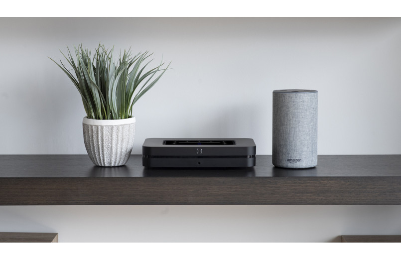 Bluesound Node N130 (Outlet)