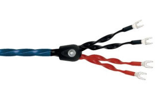 Wireworld Oasis 8 bicableado