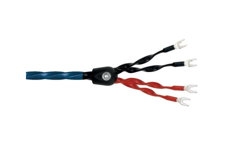 Wireworld Oasis 8 bi-wired