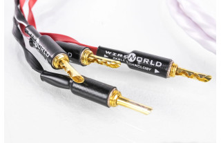 Wireworld Solstice 8... 2