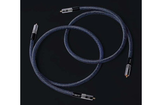 Charismatech IC-300 2