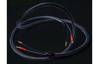 Charismatech SP-300 2