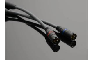 Transparent Audio Plus XLR G6 2