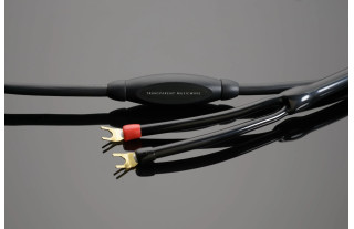 Transparent Audio Musicwave G6 2