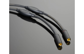 Transparent Audio Plus RCA... 2