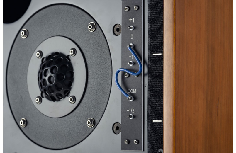 Musical Fidelity LS5/9 Classic