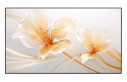 Xgimi UST ALR 100"