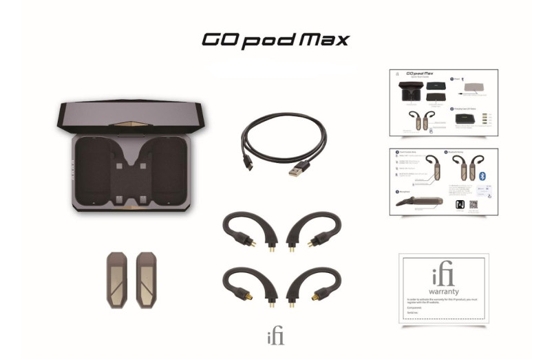 iFi Audio Go Pod Max