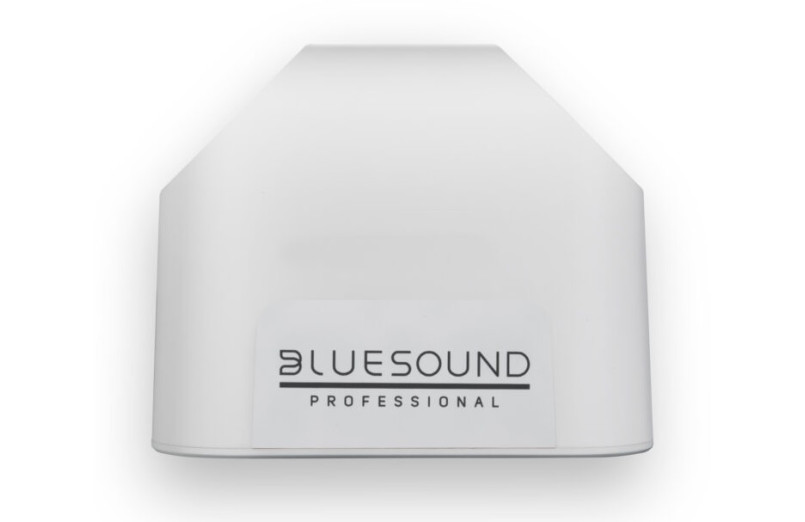 Bluesound BSP200