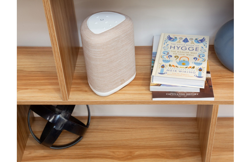 Bluesound Pulse Flex (P130)