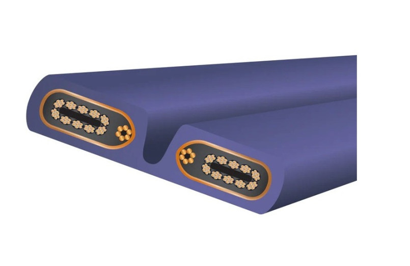 Wireworld Cable Aurora 10 Power Cord...