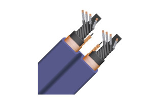 Wireworld Cable Aurora 10... 2