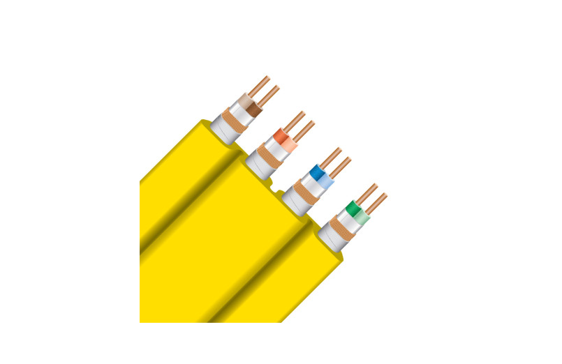 Wireworld Chroma 10 (CHE)