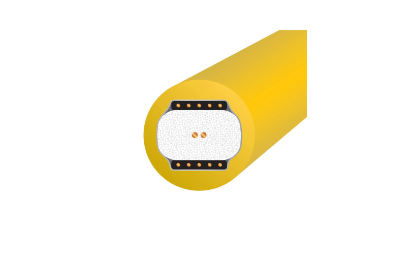 Wireworld Chroma 10 (CRV)