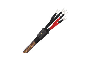 Wireworld Eclipse 10 (ECB)