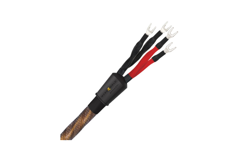 Wireworld Eclipse 10 (ECB)