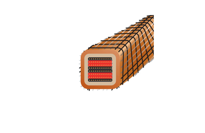 Wireworld Eclipse 10 (ECS)