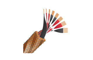 Wireworld Eclipse 10 (ECS) 2