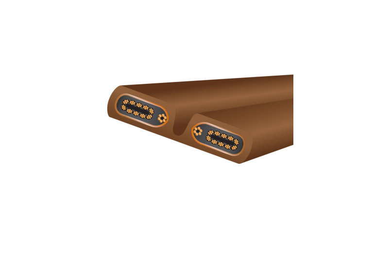 Wireworld Electra 10 (ELP)