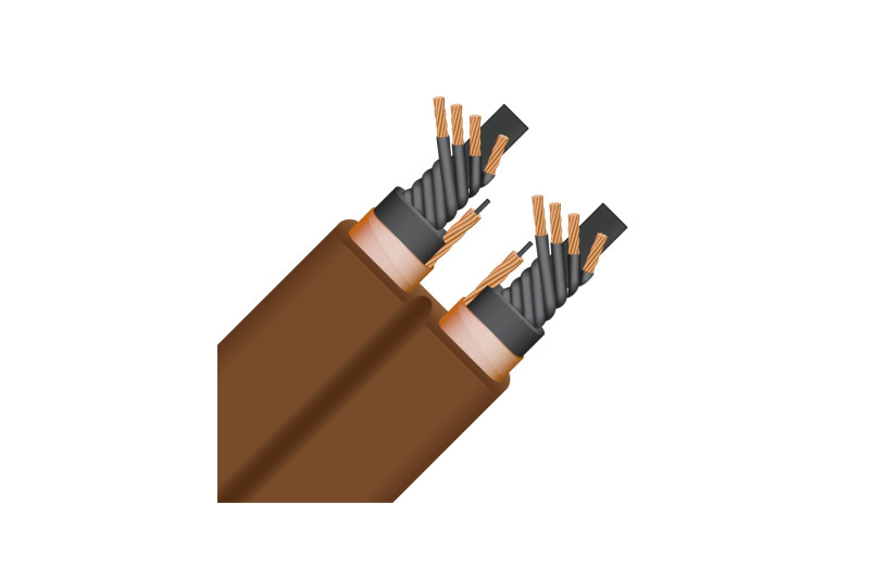 Wireworld Electra 10 (ELP)