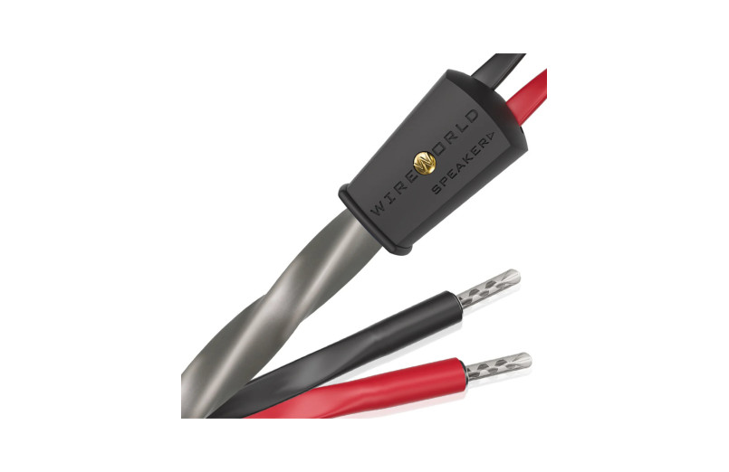 Wireworld Equinox 10 (EQS)