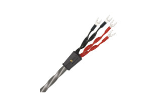 Wireworld Equinox 10 (EQB)