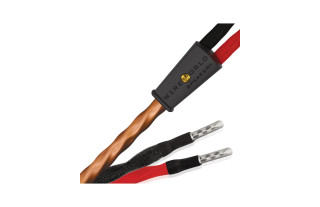 Wireworld Mini-Eclipse 10...