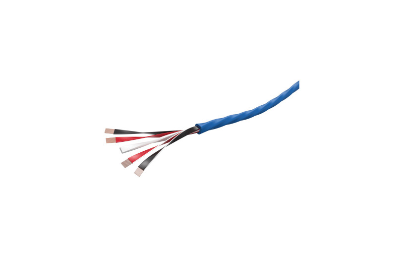 Wireworld Oasis 10 (OAB)