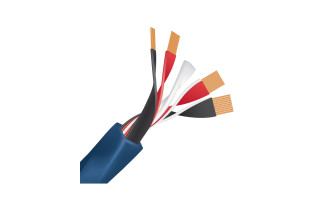 Wireworld Oasis 10 (OAB) 2