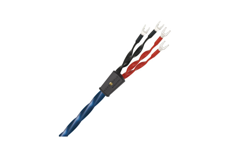 Wireworld Oasis 10 (OAB)