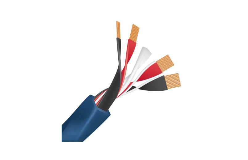 Wireworld Oasis 10 (OAS)