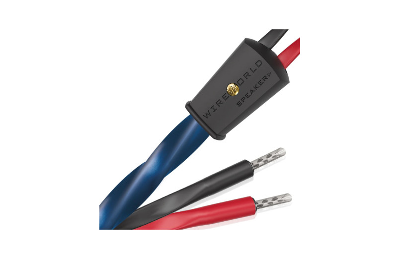 Wireworld Oasis 10 (OAS)