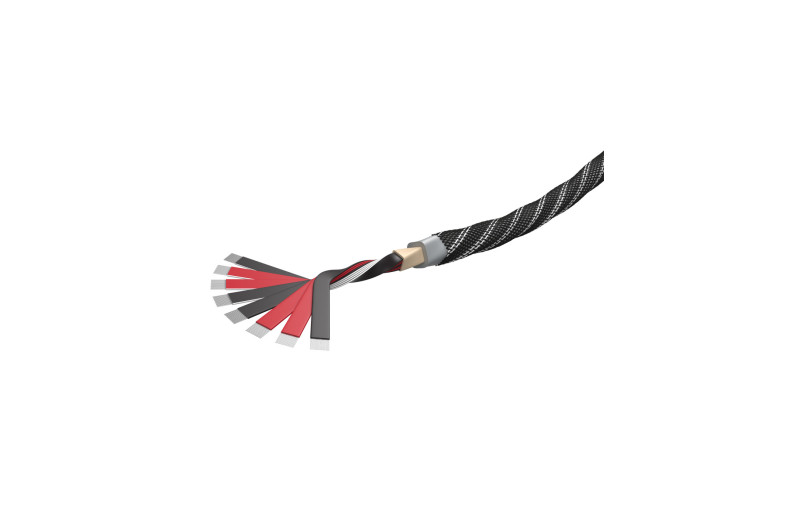 Wireworld Platinum Eclipse 10 (PEB)