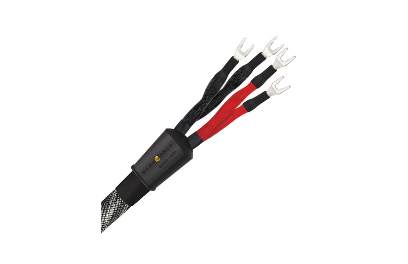 Wireworld Platinum Eclipse 10 (PEB)