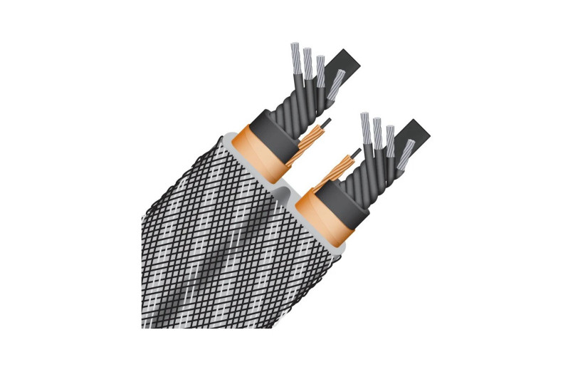 Wireworld Platinum Electra 10 Power...