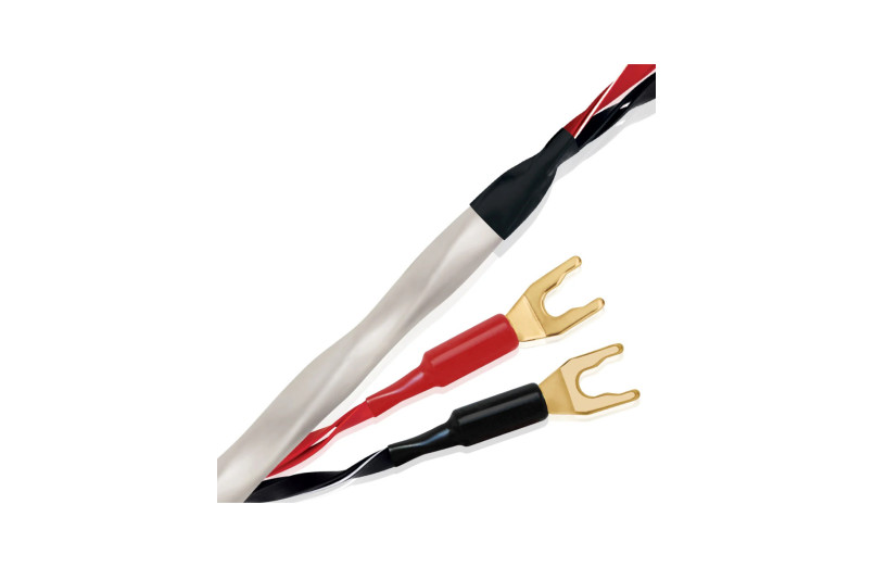 Wireworld Solstice 10 (SOS)