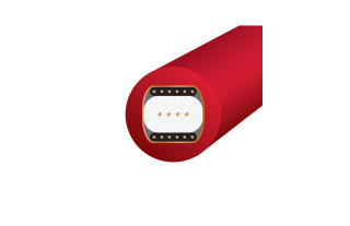 Wireworld Starlight 10 (STV) 2