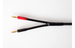 Transparent Audio Hardwired... 2