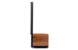 Martin Logan Renaissance... 2